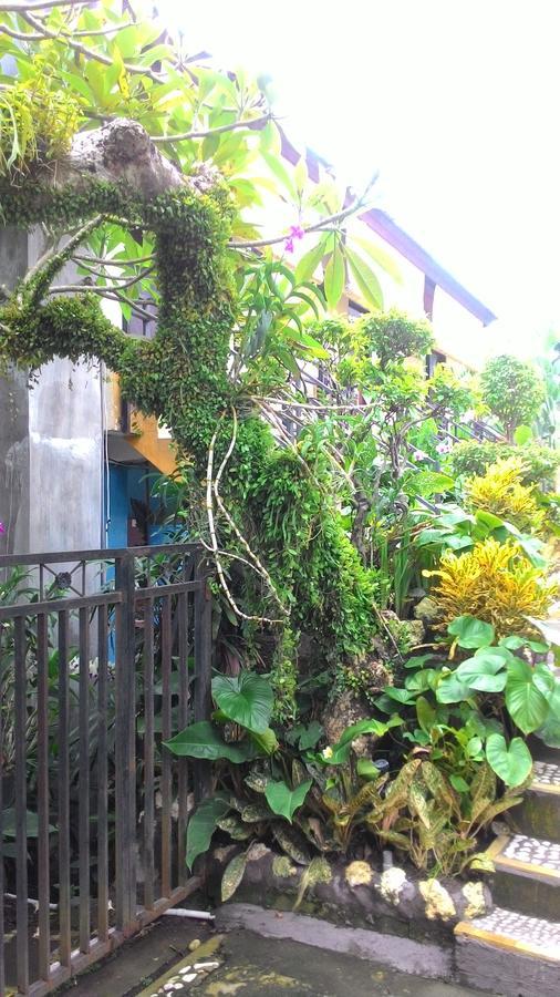 Betesda Guest House Canggu Exteriér fotografie